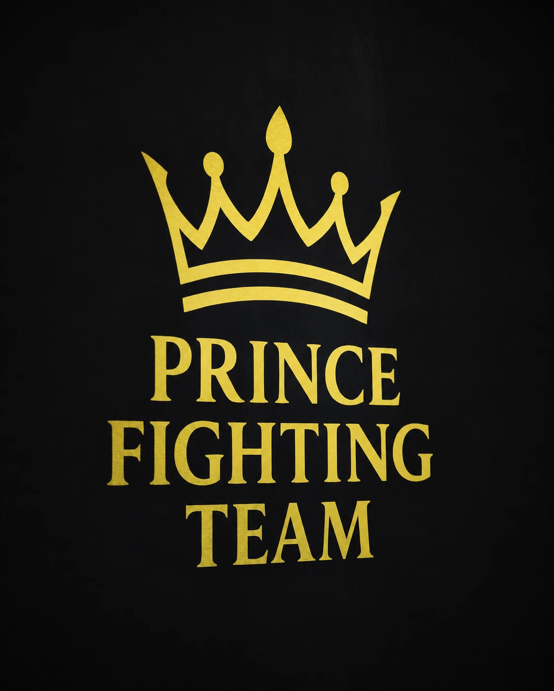 Equipe e alunos da Prince Fighting Team treinando no tatame da academia no Parque dos Príncipes, São Paulo